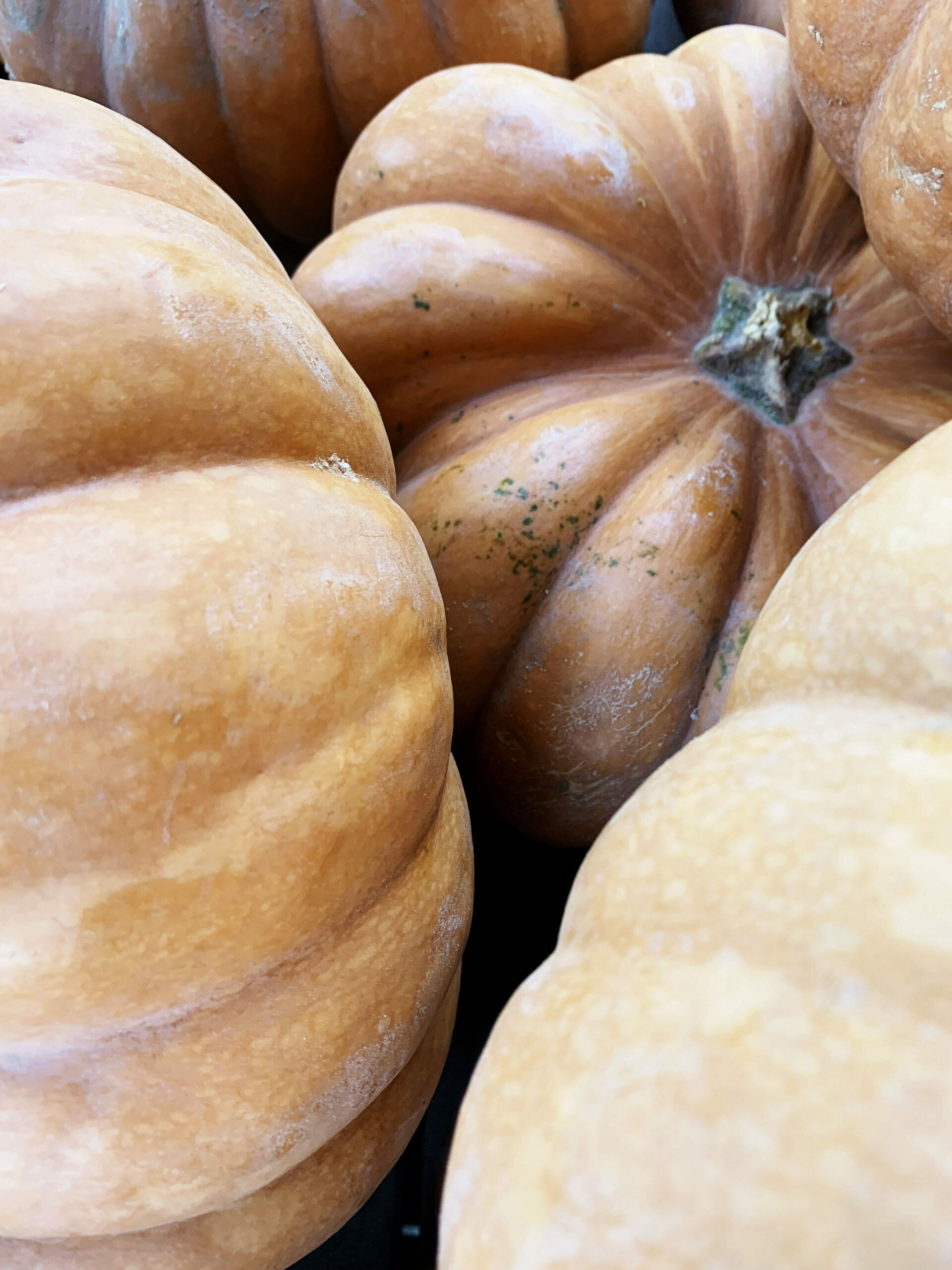 Notre cave à vins et spiritueux - Grands crus et vins locaux